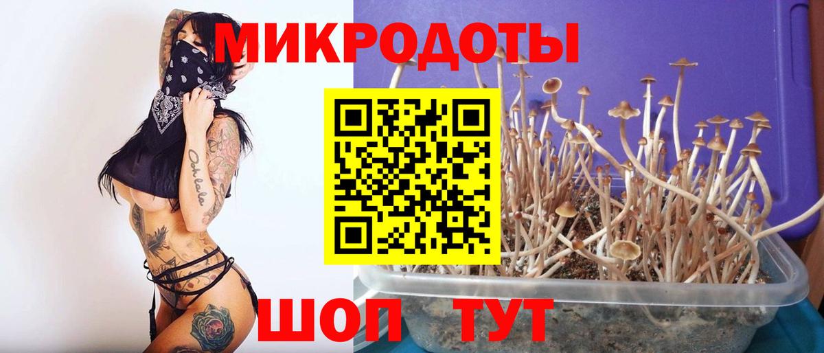 Муром  Псилоцибиновые грибы прущие грибы  Вход с VPN 